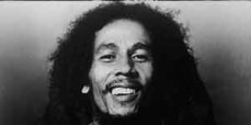 alle vinyl albums van Bob Marley and The Wailers op lp