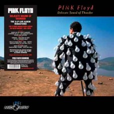 Pink Floyd | Delicate Sound Of Thunder( 2-LP )