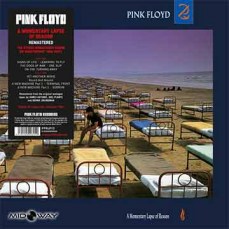 Pink Floyd | Momentary Lapse Of Reason (Lp)