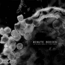 Tindersticks | Minute Bodies: The Intimate World (Lp)