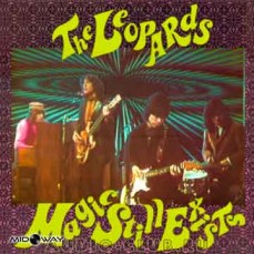 Vinyl album  Leopards | Magic Still Exists (Lp)