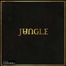  Vinyl, album, van,  Jungle, Jungle, lp, hp