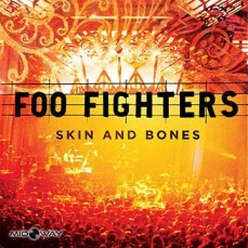 Vinyl, album, Foo, Fighters, Skin, And, Bones, Lp